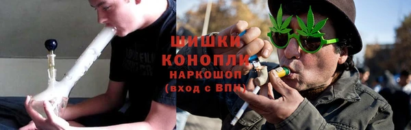 прущие грибы Володарск