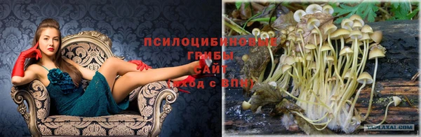 индика Верхнеуральск