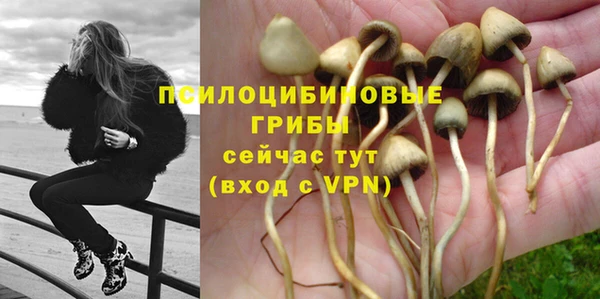прущие грибы Володарск