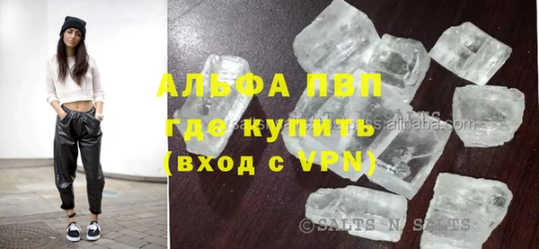 стаф Богданович