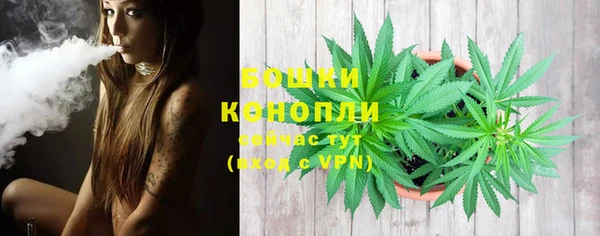 прущие грибы Володарск